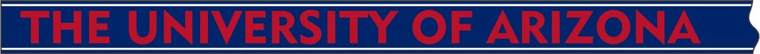 Desden Strap PRE- ORDER Beaded Purse Straps - The University of Arizona