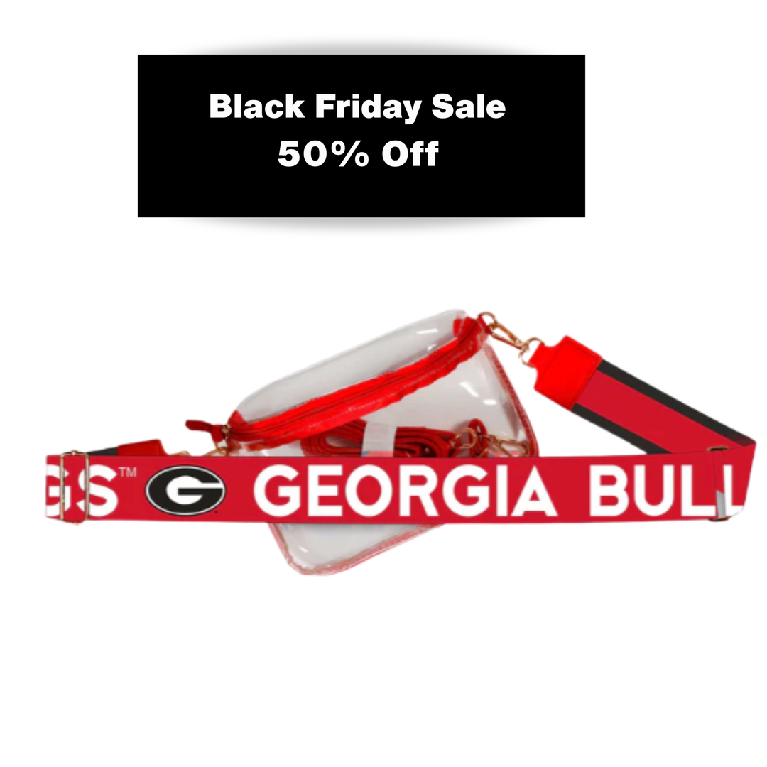 Hailey Clear Sling Purse