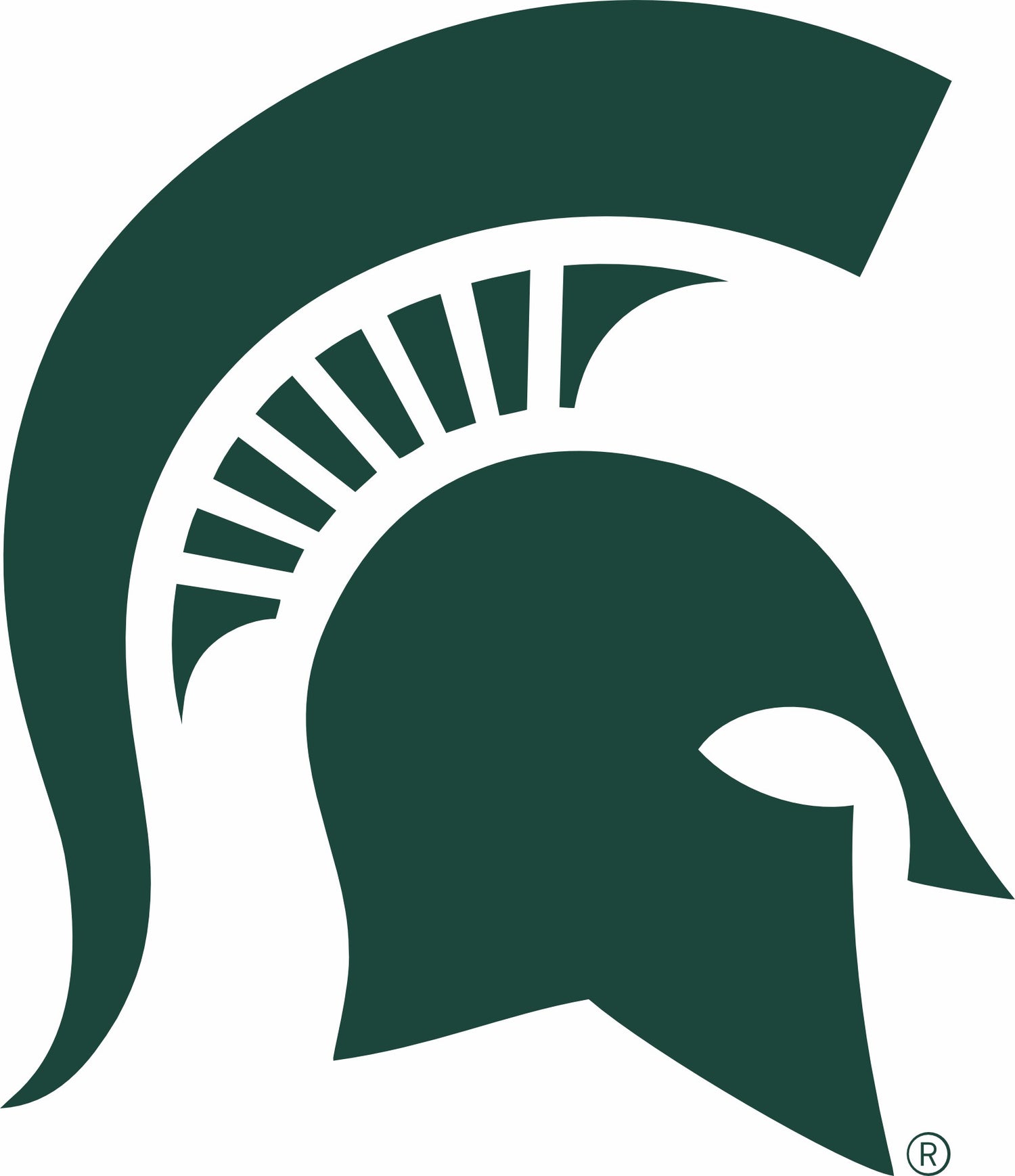 Michigan State Spartans-95