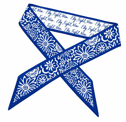 Skinny Scarf – Air Force Falcons