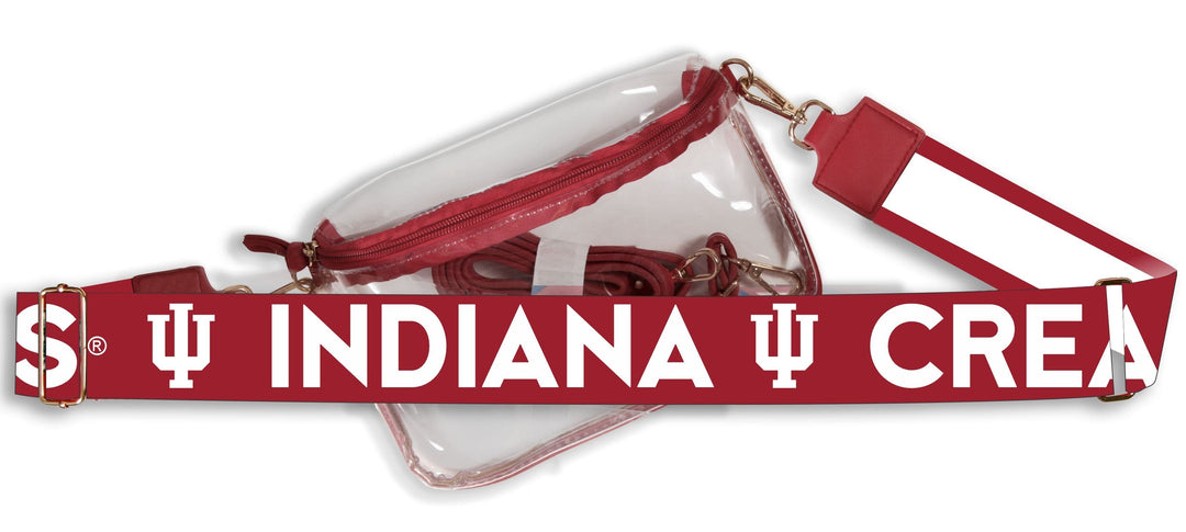 Desden Default Value Indiana Hailey Clear Purse with Logo Strap by Desden