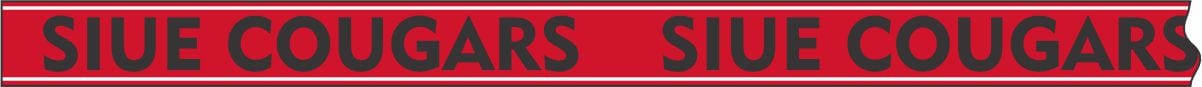Desden Strap PRE- ORDER Beaded Purse Straps - Southern Illinois
