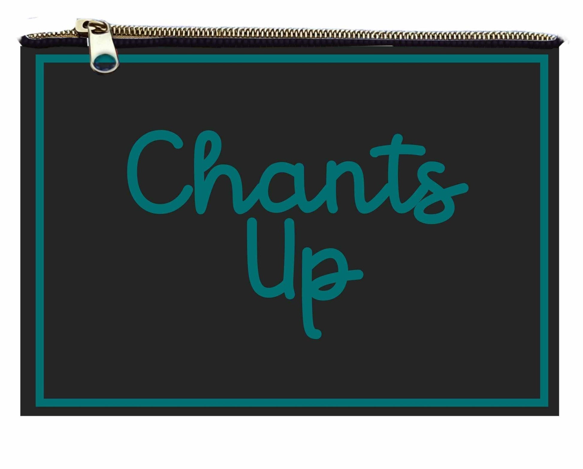 Desden PRE-ORDER Hand Beaded Coin Pouch – Coastal Carolina Chanticleers