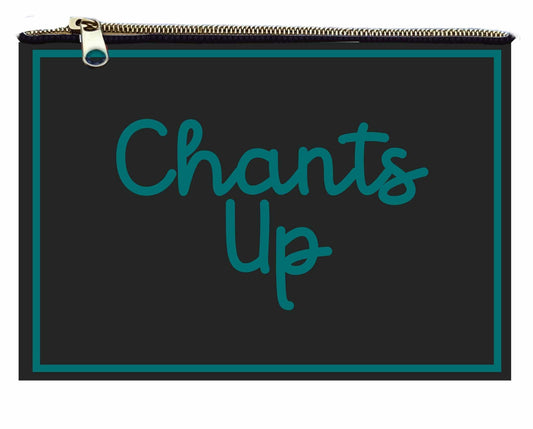 Desden PRE-ORDER Hand Beaded Coin Pouch – Coastal Carolina Chanticleers