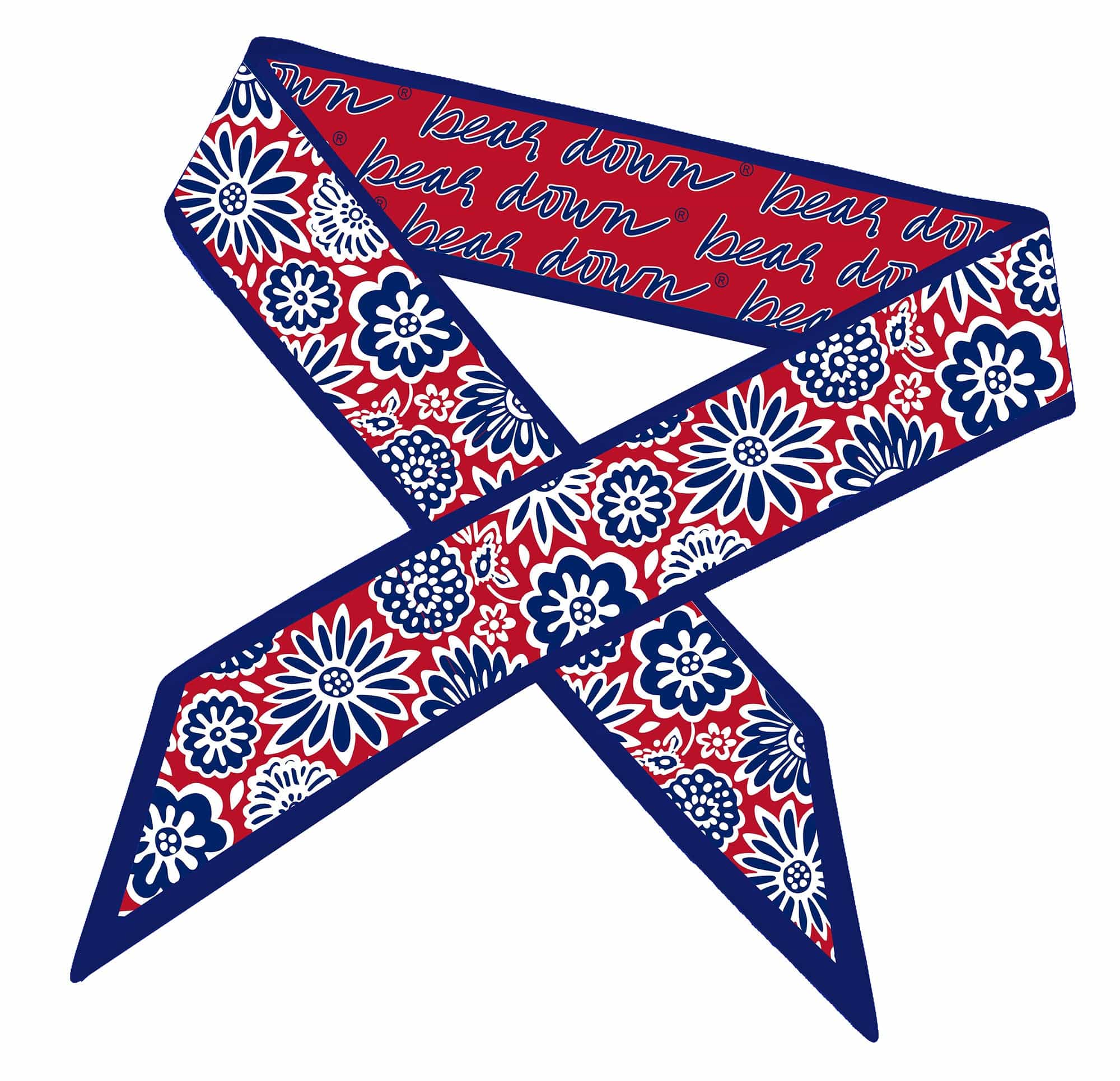 Desden Accessory Skinny Scarf – Arizona Wildcats