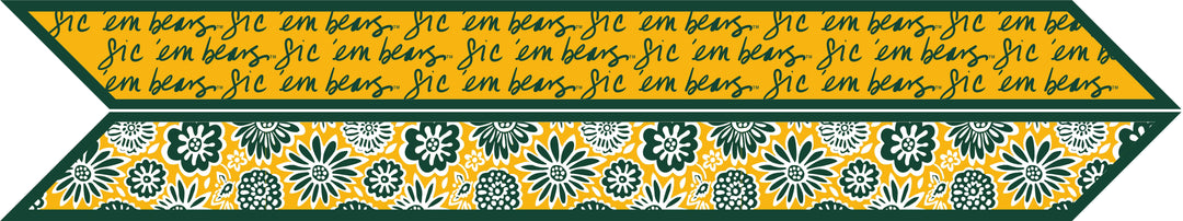 Desden Accessory Skinny Scarf – Baylor Bears