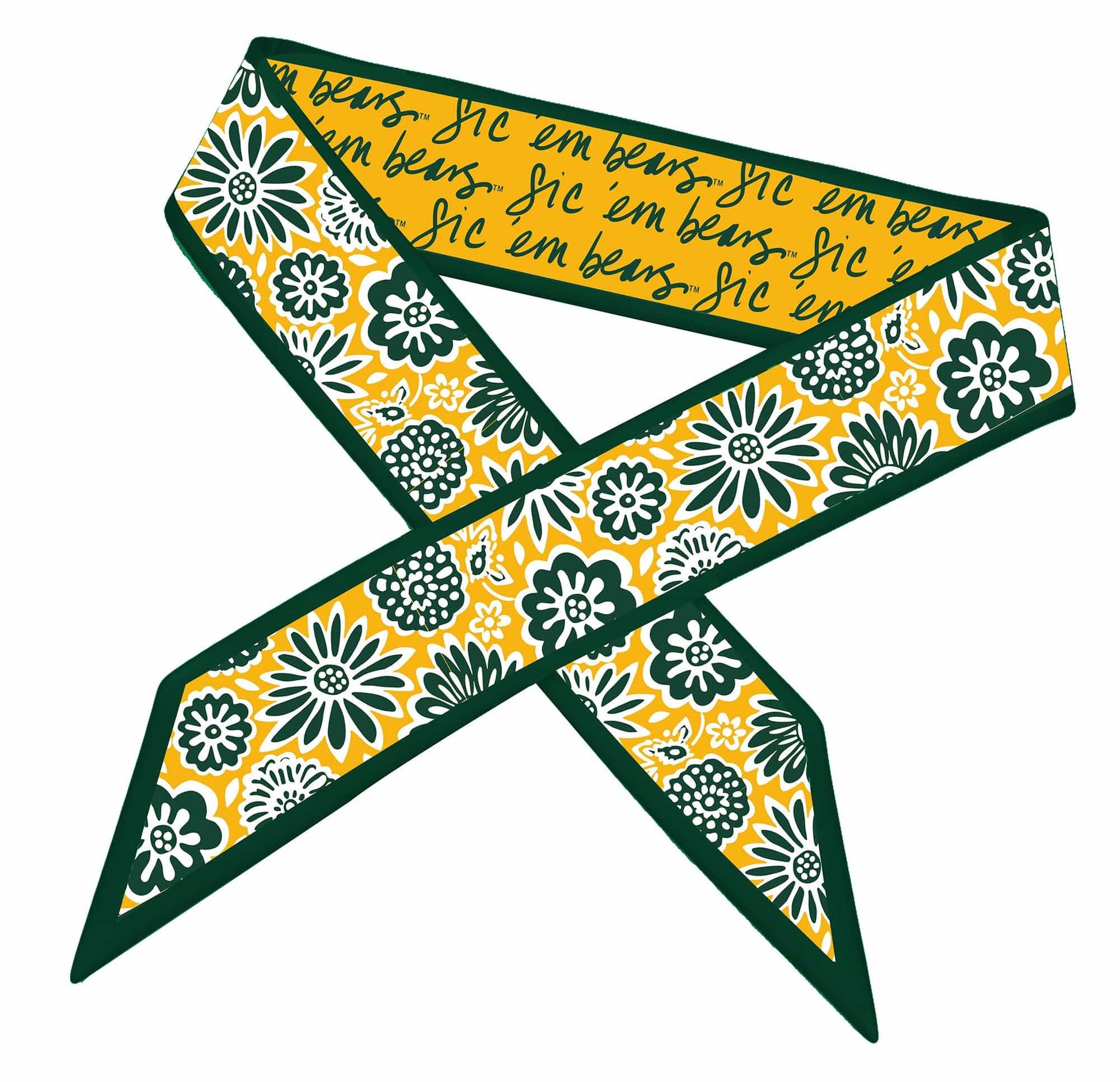 Desden Accessory Skinny Scarf – Baylor Bears