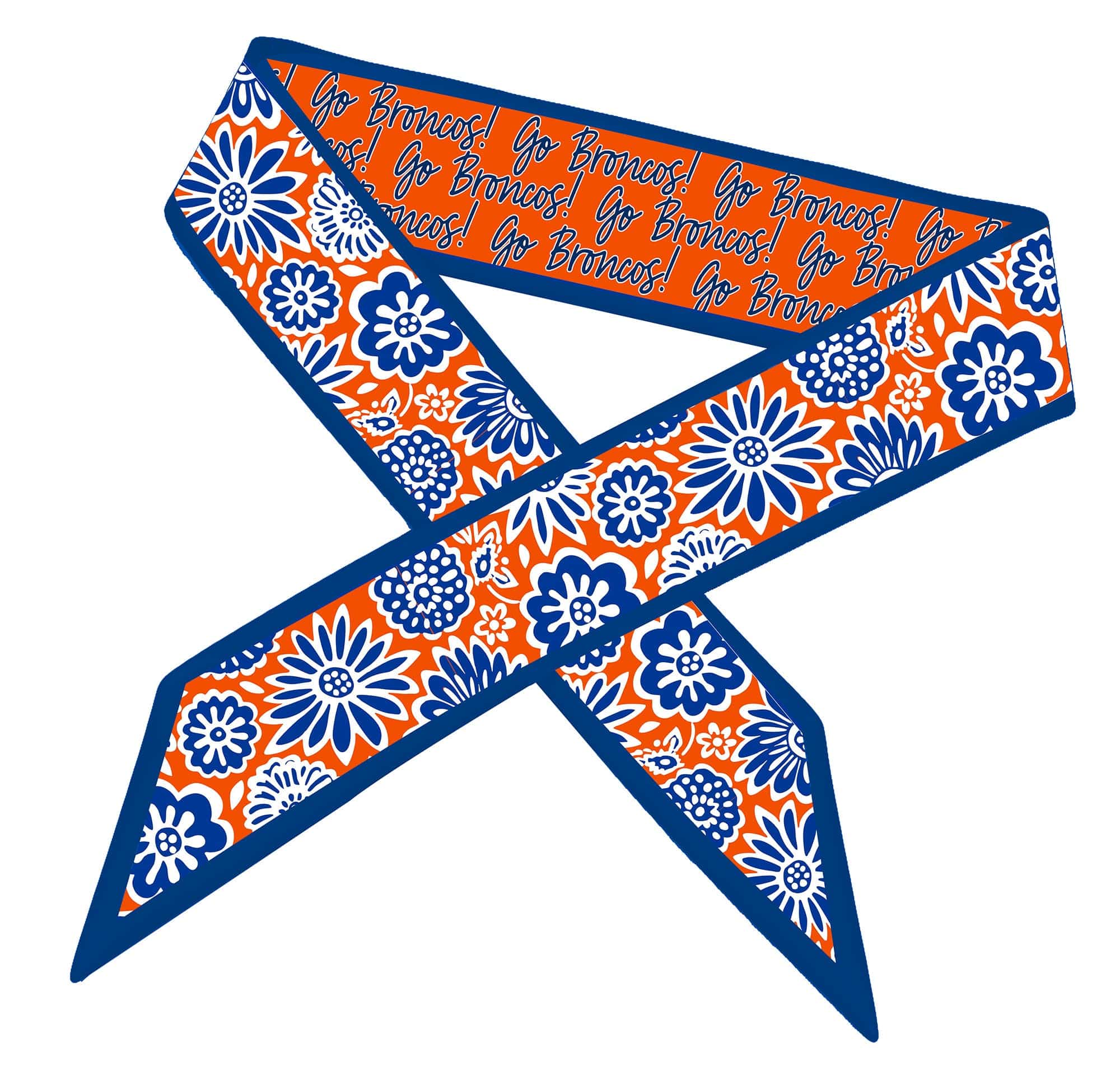 Desden Accessory Skinny Scarf – Boise State Broncos