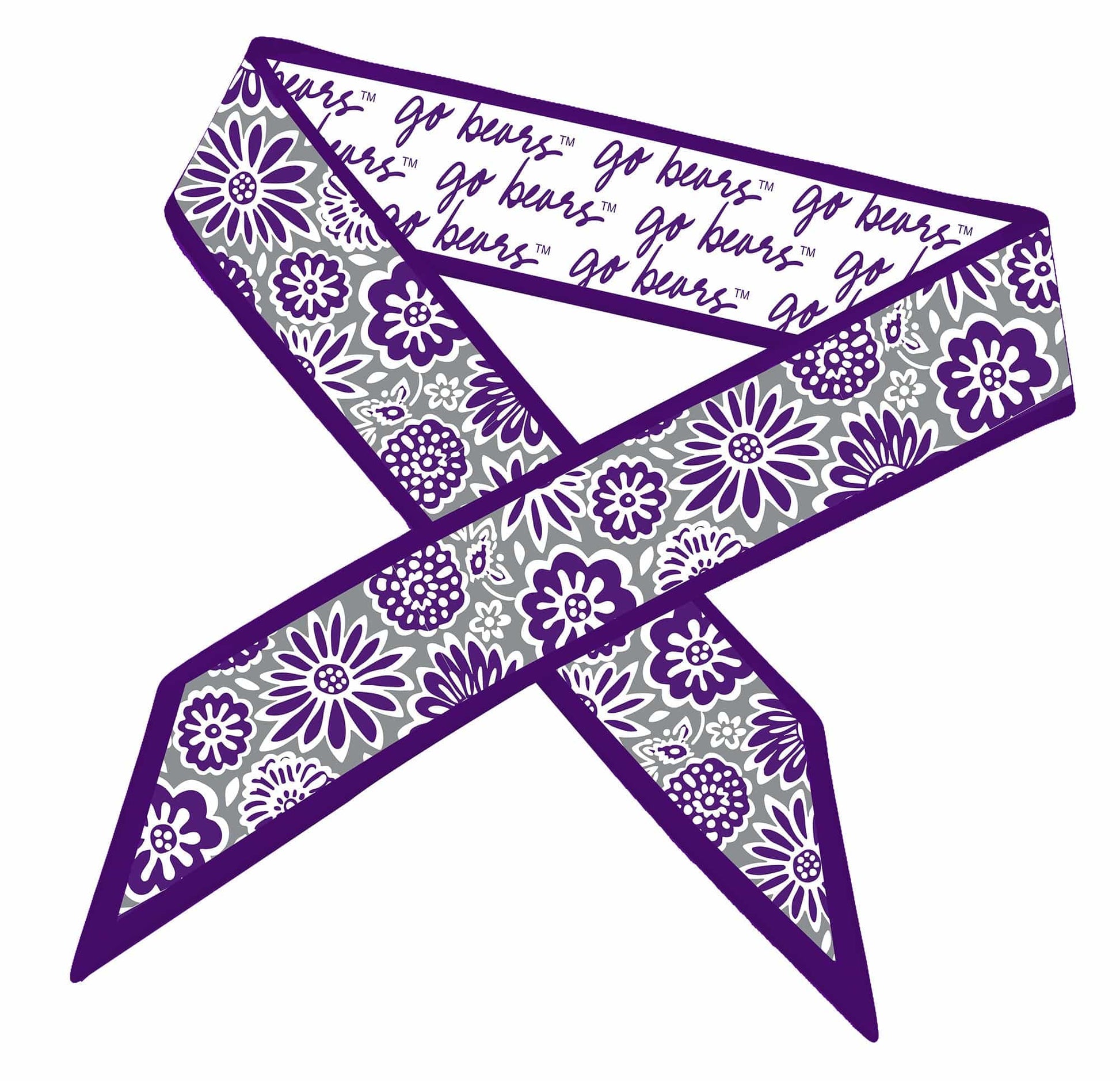 Desden Accessory Skinny Scarf – Central Arkansas Bears