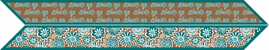 Desden Accessory Skinny Scarf – Coastal Carolina Chanticleers