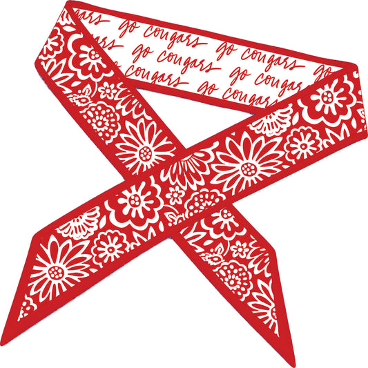 Desden Accessory Skinny Scarf – Houston Cougars