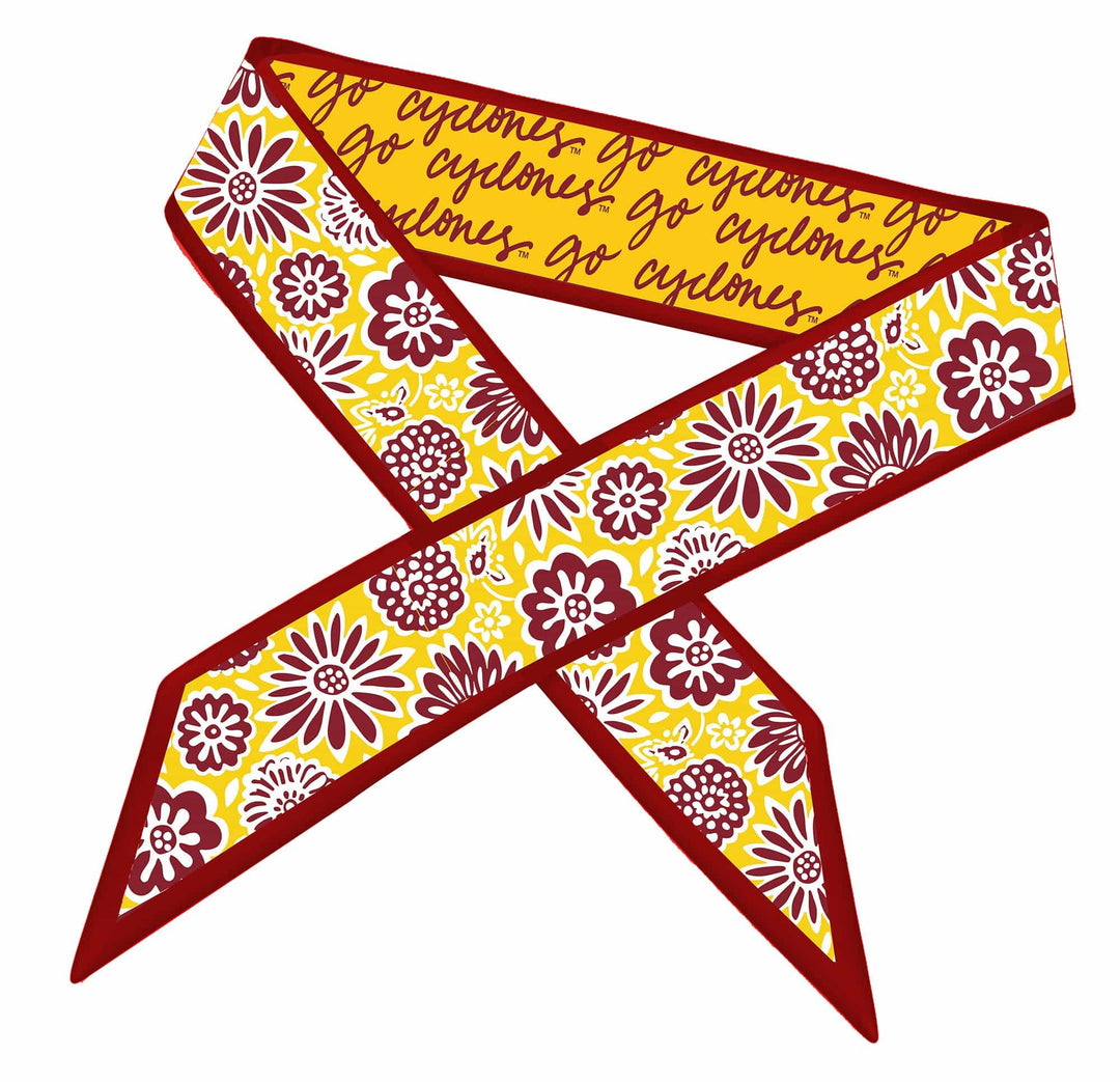 Desden Accessory Skinny Scarf – Iowa State Cyclones
