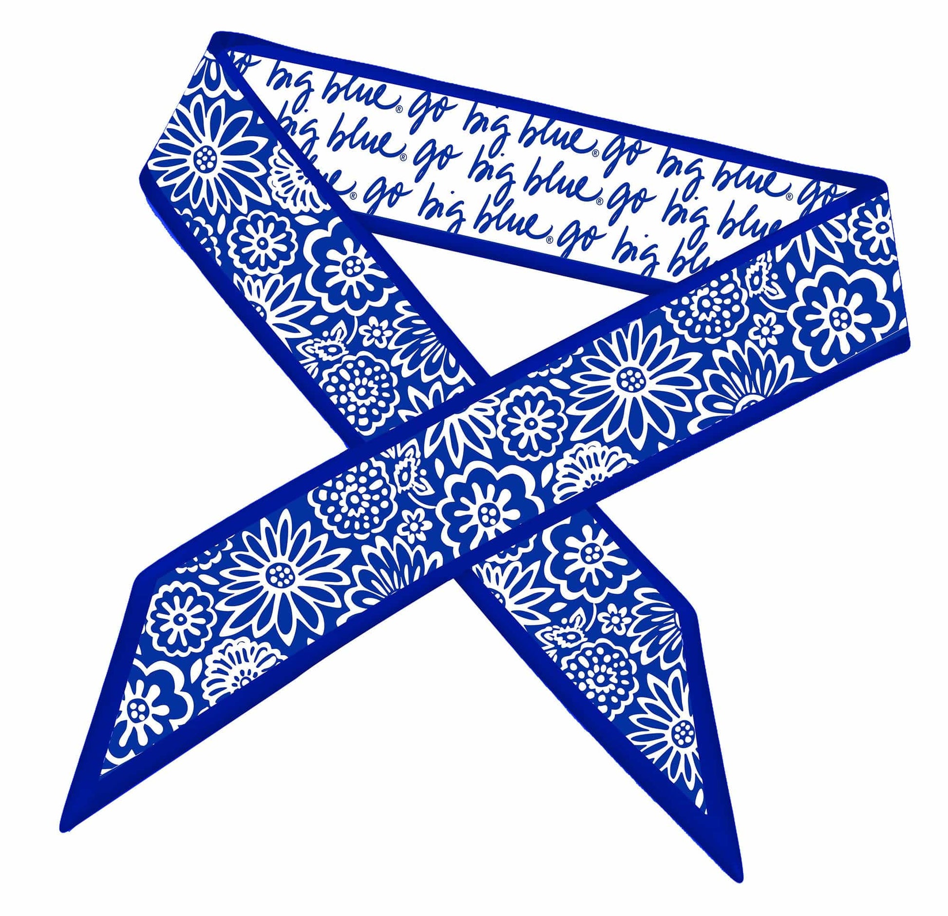 Desden Accessory Skinny Scarf – Kentucky Wildcats