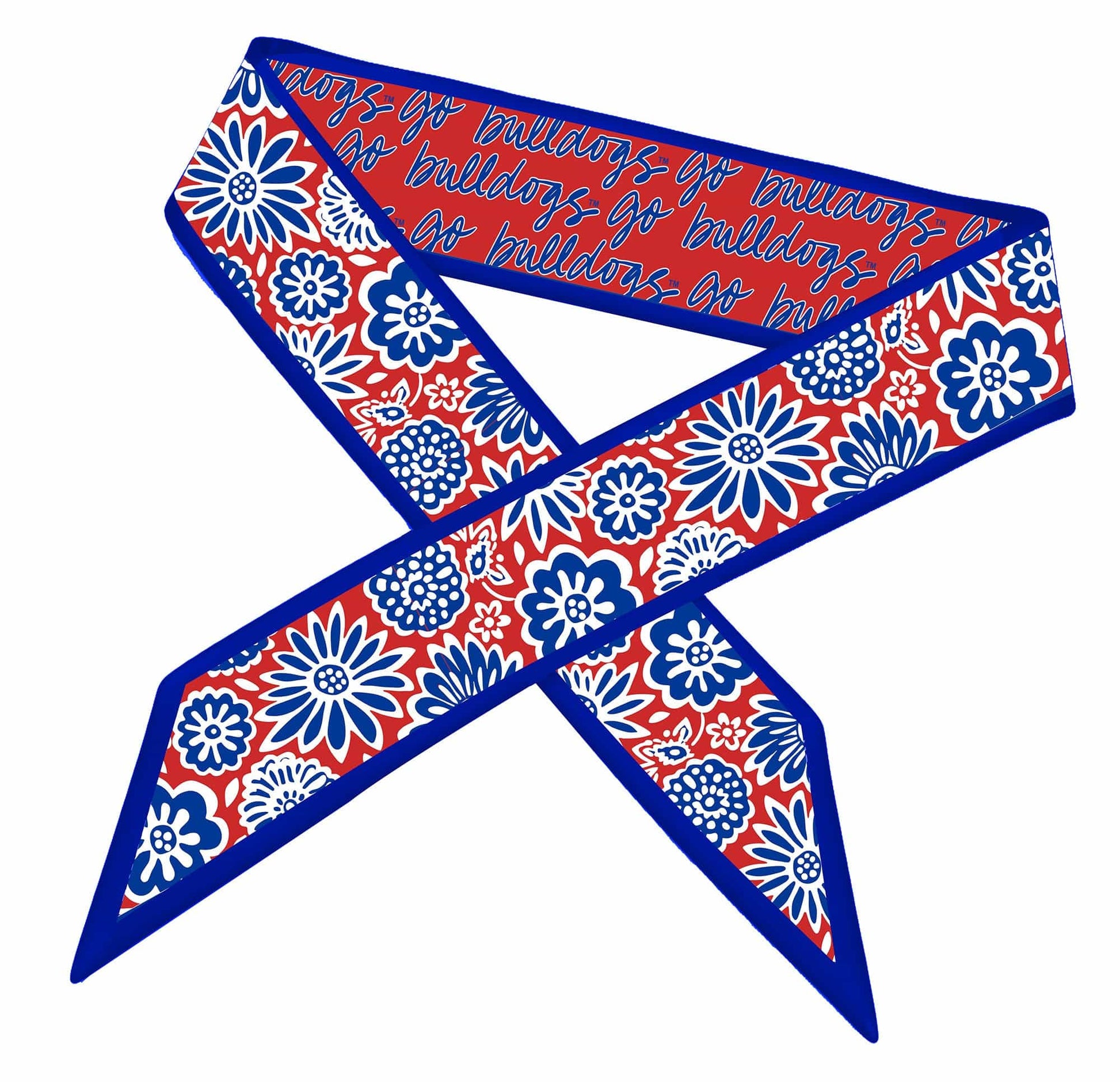 Desden Accessory Skinny Scarf – Louisiana Tech Bulldogs