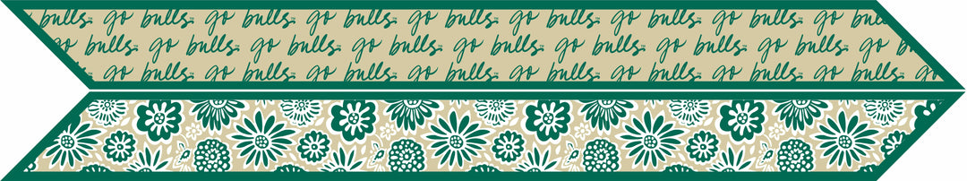 Desden Accessory Skinny Scarf – South Florida Bulls