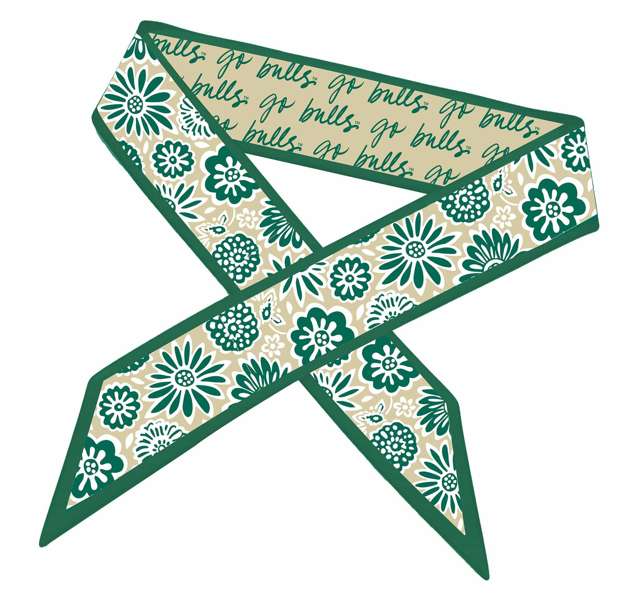 Desden Accessory Skinny Scarf – South Florida Bulls