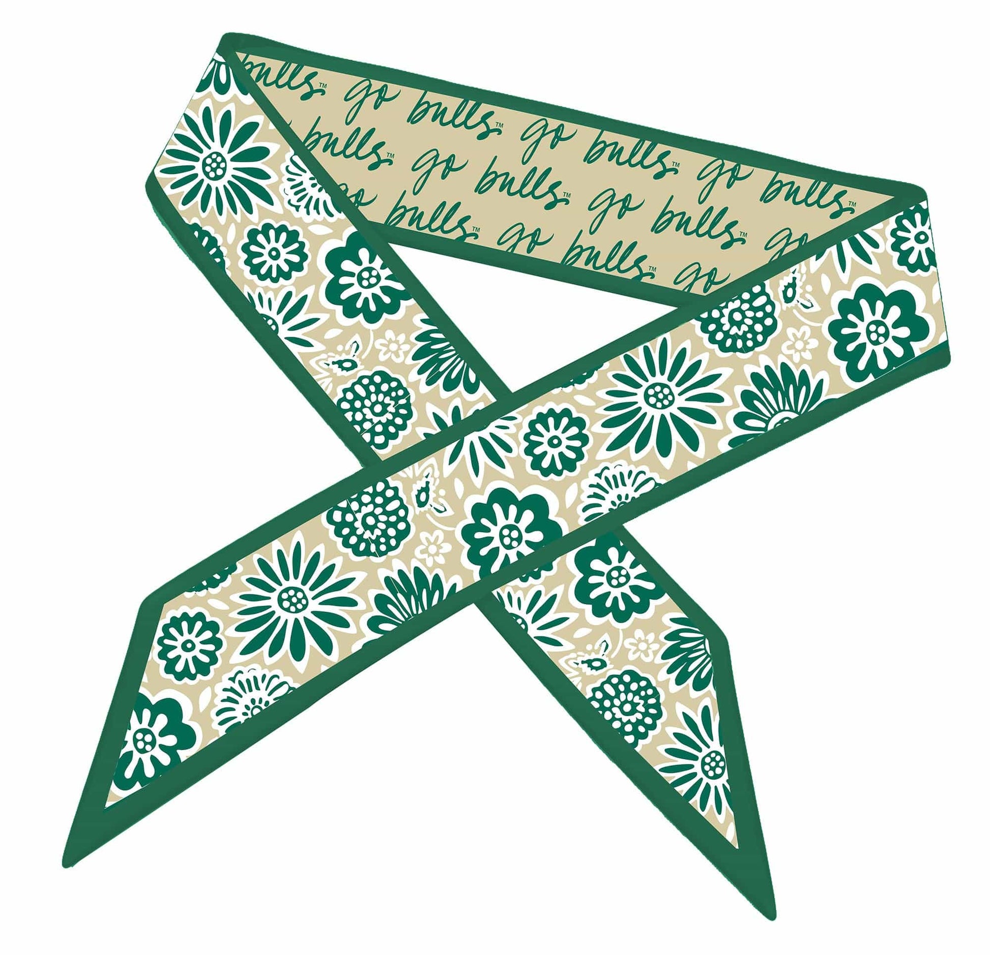 Desden Accessory Skinny Scarf – South Florida Bulls