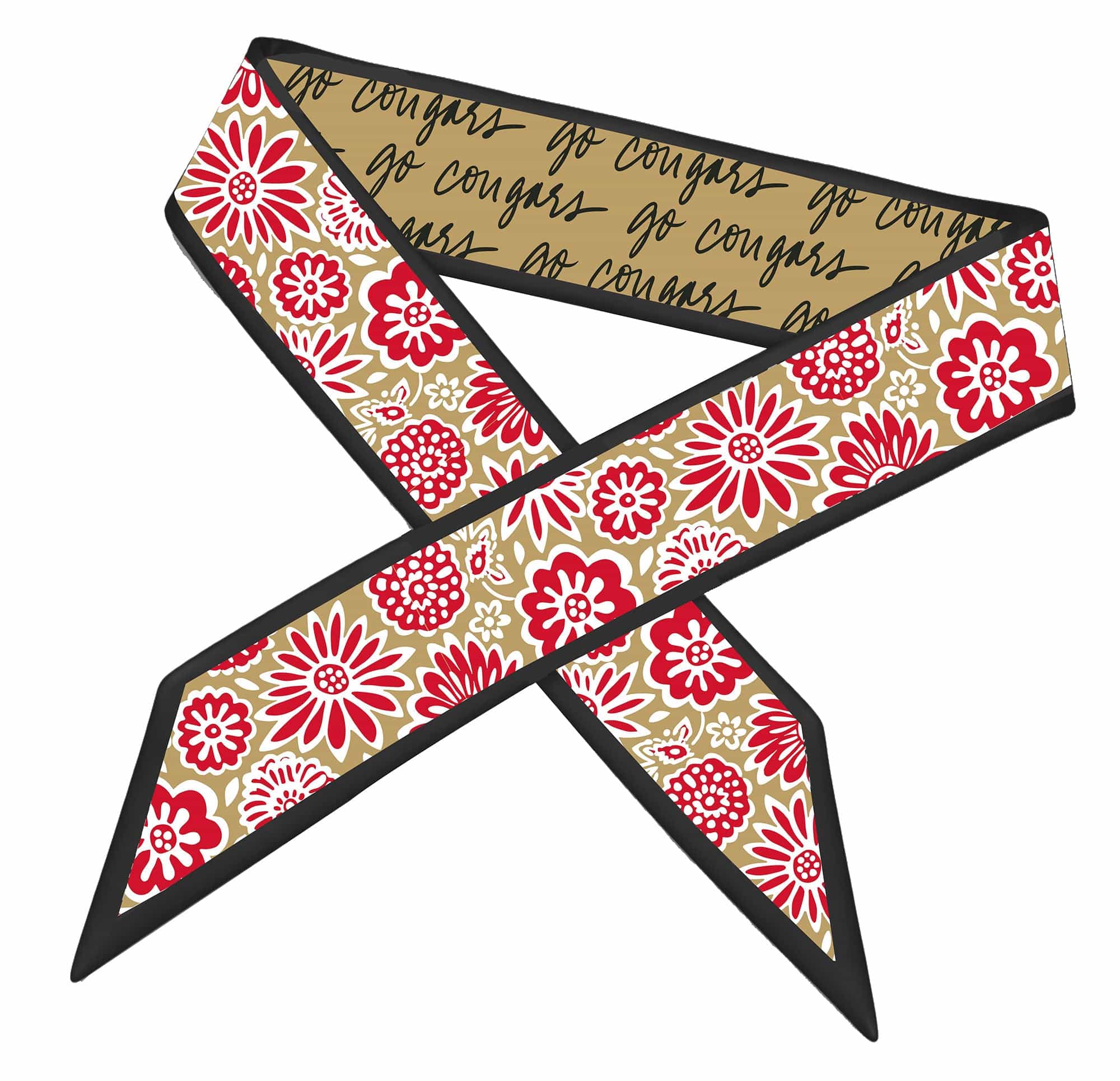 Desden Accessory Skinny Scarf – Southern Illinois Edwardsville Cougars