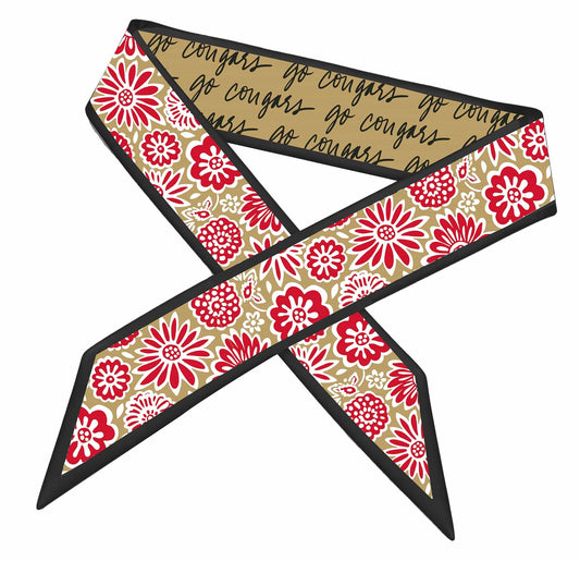 Desden Accessory Skinny Scarf – Southern Illinois Edwardsville Cougars