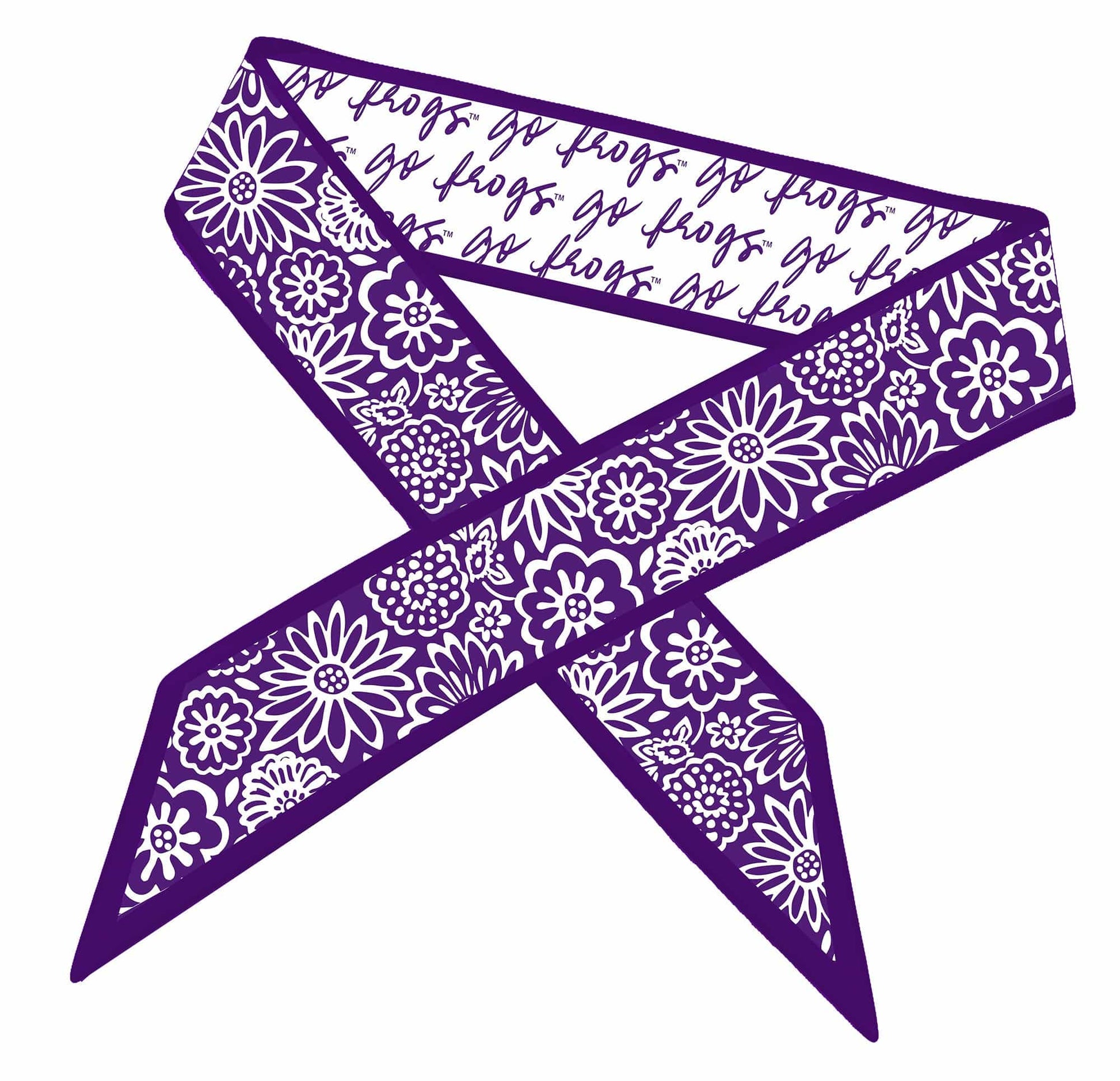 Desden Accessory Skinny Scarf – TCU Horned Frogs