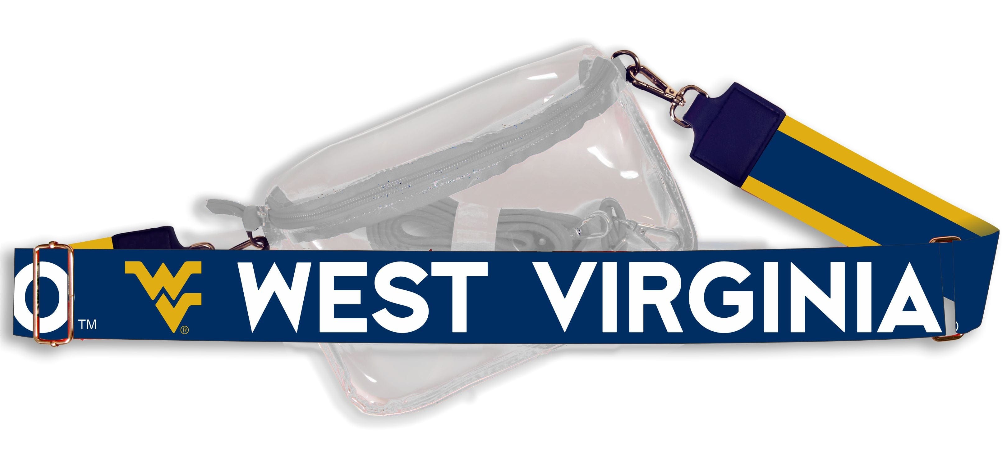 Desden Purse West Virginia Hailey Clear Sling Bag with Logo Strap by Desden
