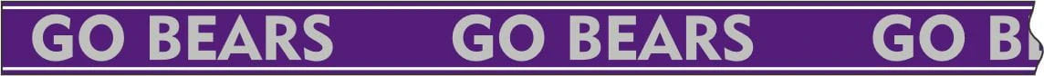 Desden Strap PRE- ORDER Beaded Purse Straps - Central Arkansas