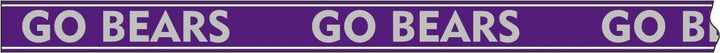 Desden Strap PRE- ORDER Beaded Purse Straps - Central Arkansas